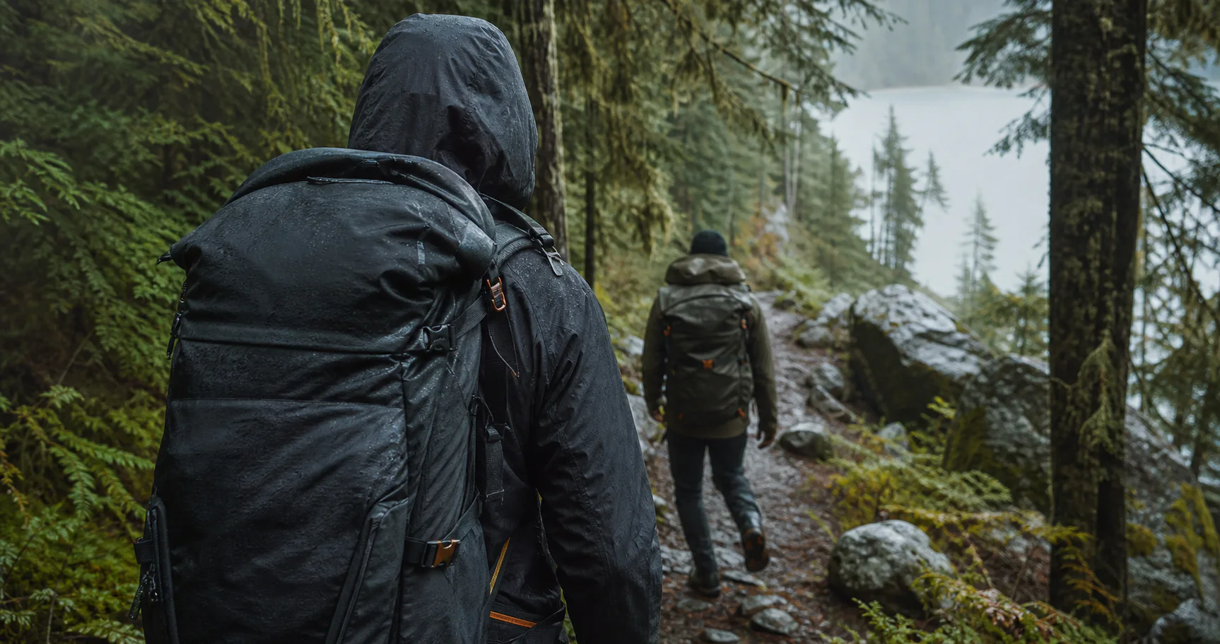 Backpackers walking through a rain-dark pine forest